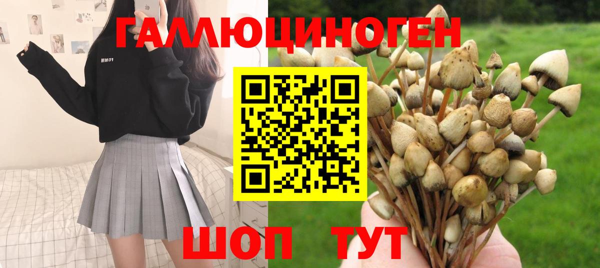 Галлюциногенные грибы MAGIC MUSHROOMS  Вход с VPN  Сатка 